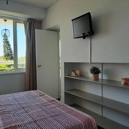 Apartment Swordfish